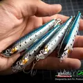 WTD90T 181 Sardine 3