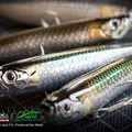 WTD90T 182 Tarpon 2