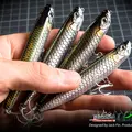WTD90T 182 Tarpon 3