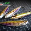 WTD90T 189 Ghost 1