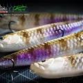 WTD90T 189 Ghost 2