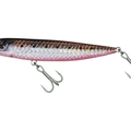 Red Sardine