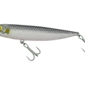 SIlver Albino