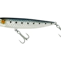 Sardine
