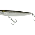 Tarpon