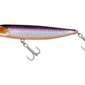 Purple Orange Belly