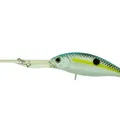 Charming Shad