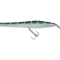 Anchovy Orange Striped
