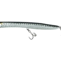 Tarpon