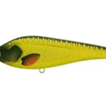 Carp