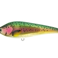 Metallic Rainbow Trout