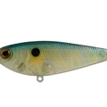Ghost Blue Back