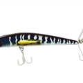 Blue Marine Shad