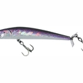 Purple Albino Holo