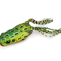 Leopard Frog