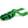 Poison Dart Frog