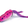 Pink Poison Dart Frog