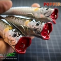Popper130T 2