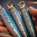 Popper130T 4