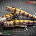 Popper130T 5
