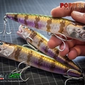 Popper130T 6