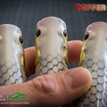 Popper130T 8