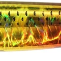 Mullet Burning Gold
