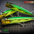 Popper130T 11