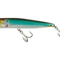 Brown Back Prey Fish