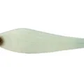 Albino