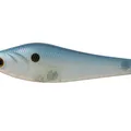Shiner Shad
