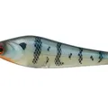 Blue Gill