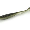 Alburno Shad