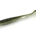 Alburno Shad