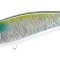 Gizzard Mullet