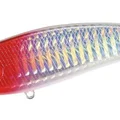 Red Shiner