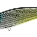 Mullet