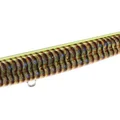 Chart Back Bachiworm