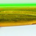 Clear Green Gold