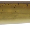 Golden Isome
