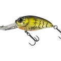 Rattlin 05 Alqueva Craw