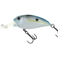 Rattlin 71 Charming Shad