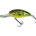 Rattlin 125 Sunfish