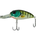 Rattlin 145 Gill
