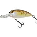 Rattlin 146 Brown Cream Purple Tiger