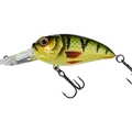 Rattlin 455 MX Perch
