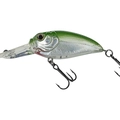 Rattlin 577 Silver Ghost Green