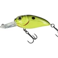 Rattlin 589 Yellow Black Back