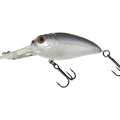 Purple Albino Shad