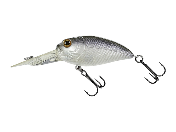 Molix Sculpo DR Silent